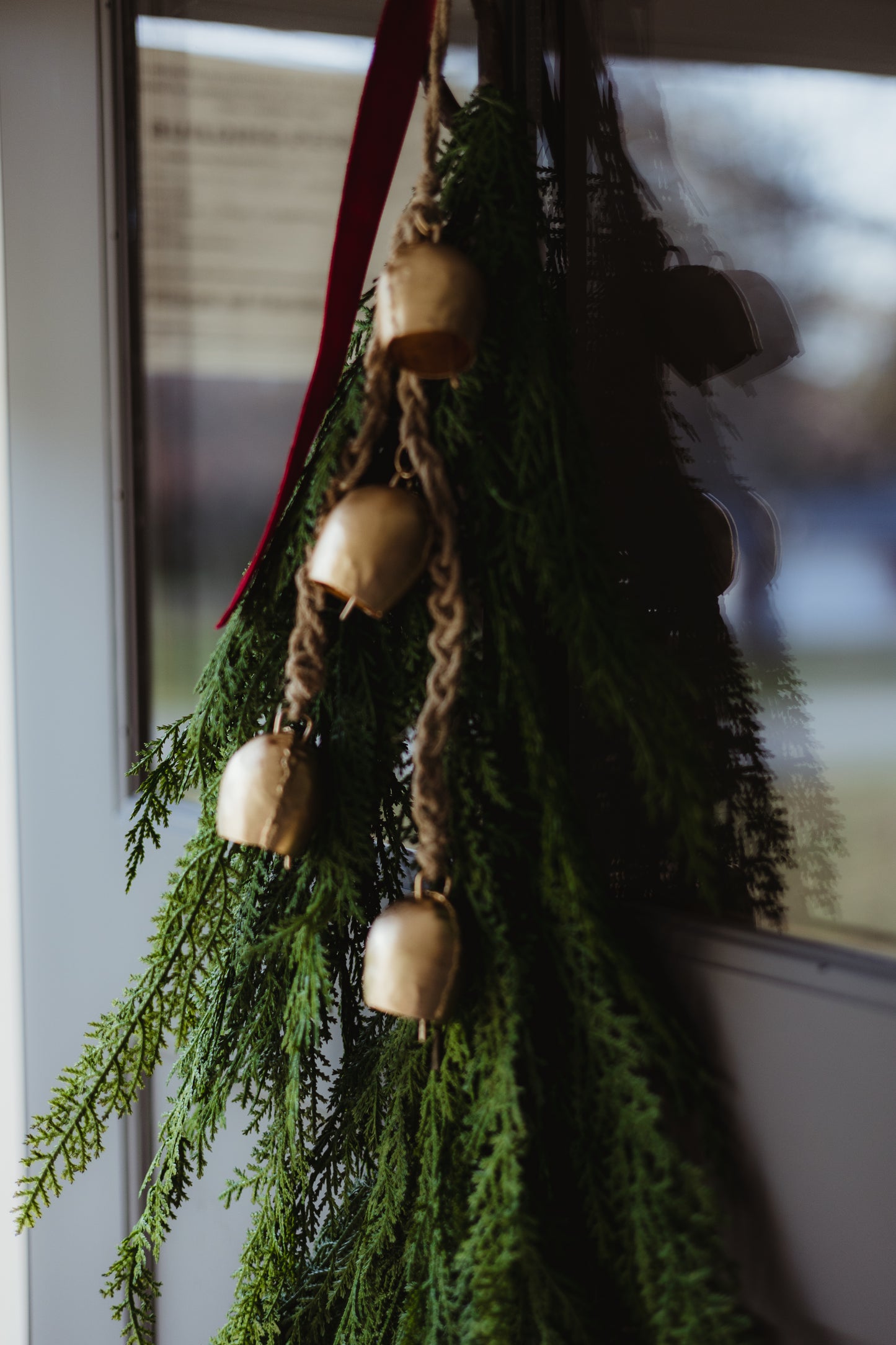 Selaginella Cedar Door Swag
