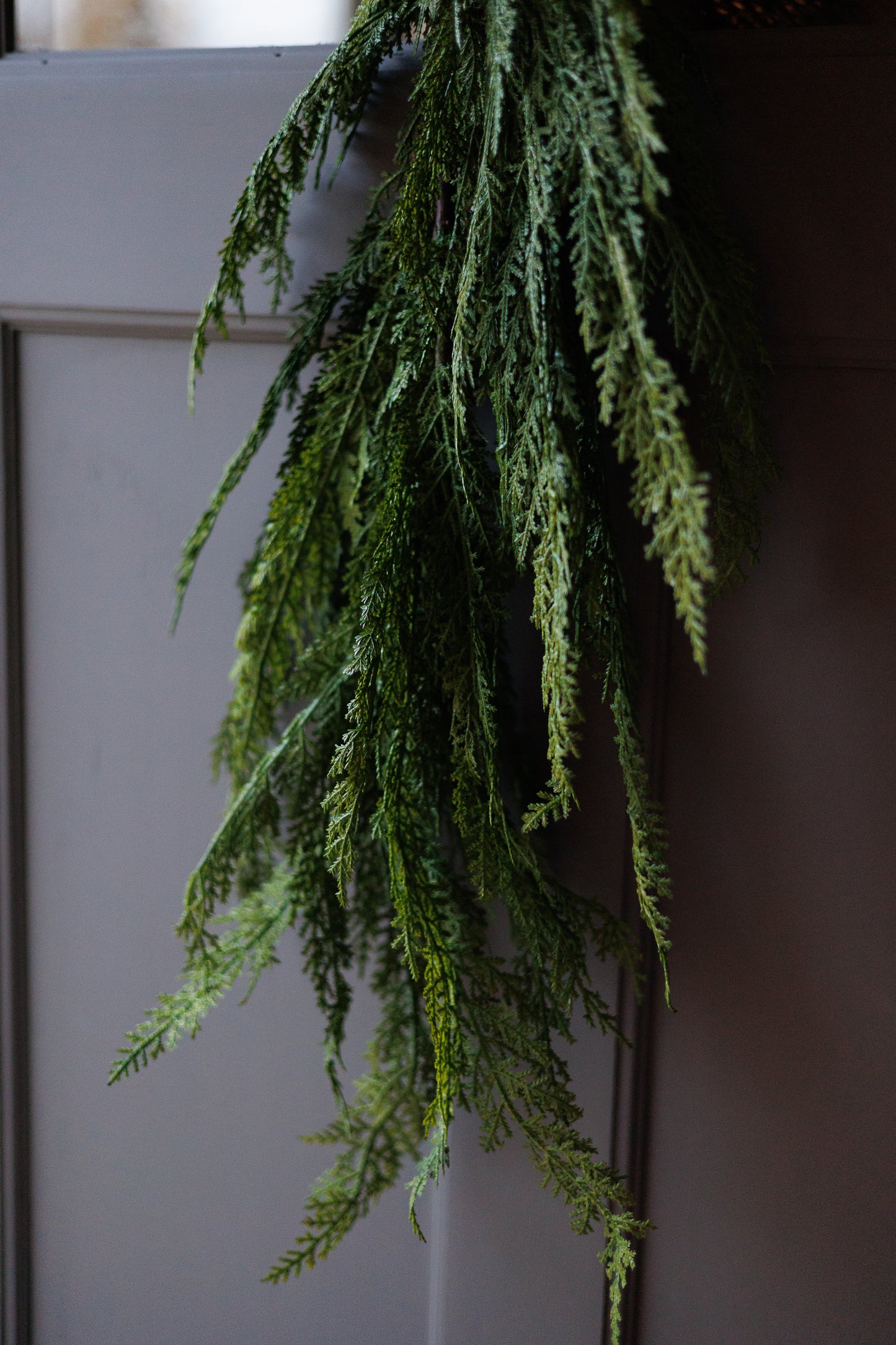 Selaginella Cedar Door Swag