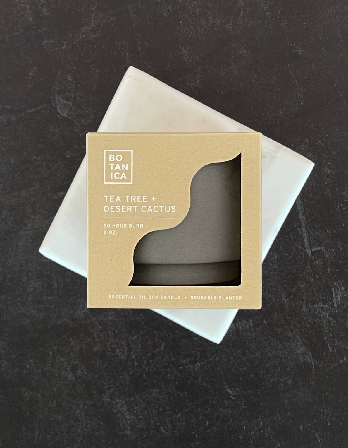 Outdoor Candle | Tea Tree + Desert Cactus